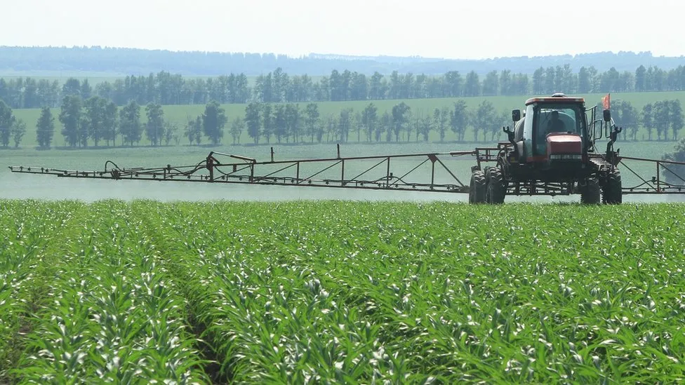 Green Ammonia: The New Race for Sustainable Production